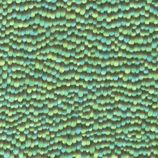 Behang Expresse Paradisio 2 - 10129-18 veertjes Behang