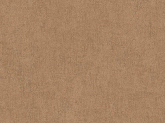 BN Wallcoverings Color Stories Bruin 220852 - Bruin Behang