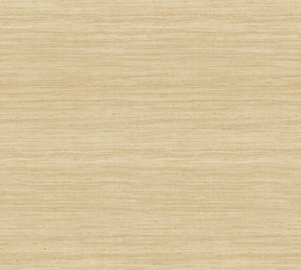 Arte EXPEDITION TASAR 72024 Behang