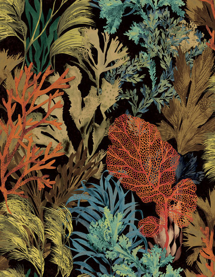 HookedOnWalls Caribbean 27220 Behang