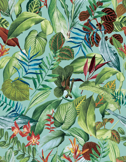 HookedOnWalls Caribbean 27223 Behang