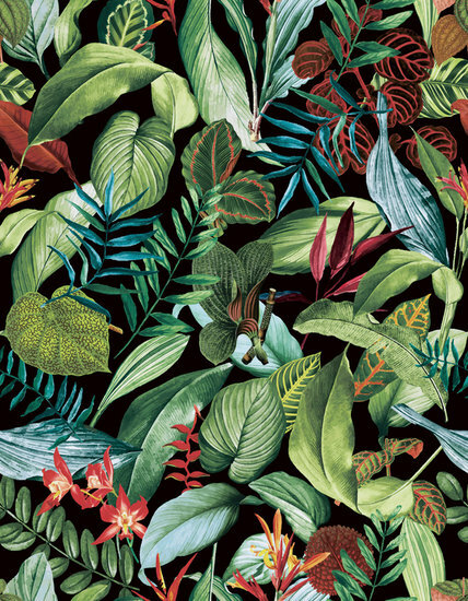 HookedOnWalls Caribbean 27224 Behang