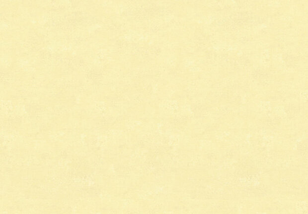 HookedOnWalls Caribbean 27269 Behang