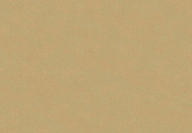 HookedOnWalls Caribbean 27282 Behang