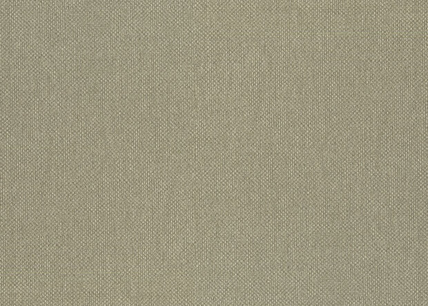 HookedOnWalls Lemuria 60632 / 95756 Behang