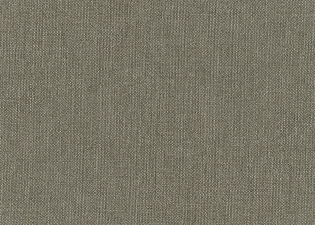 HookedOnWalls Lemuria 60633 Behang