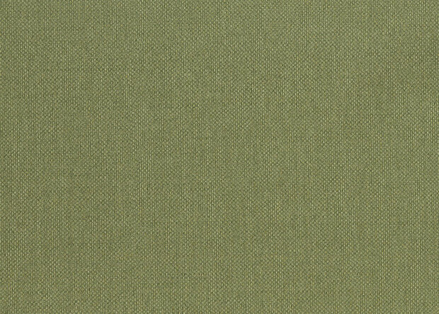 HookedOnWalls Lemuria 60635 Behang