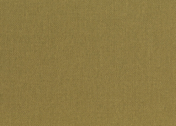 HookedOnWalls Lemuria 60636 Behang