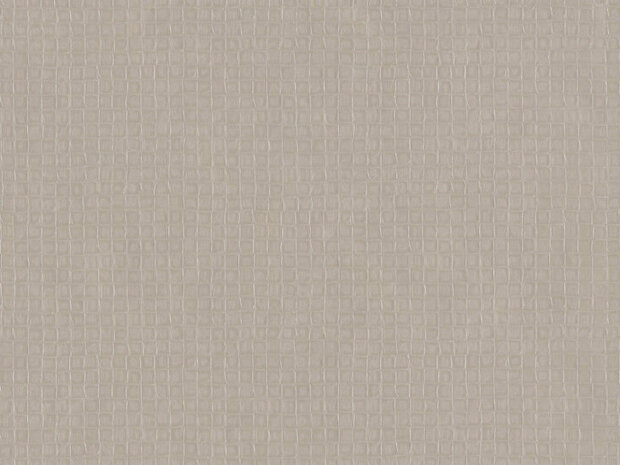BN Wallcoverings Texture Stories 49100 - champagne vinyl Behang