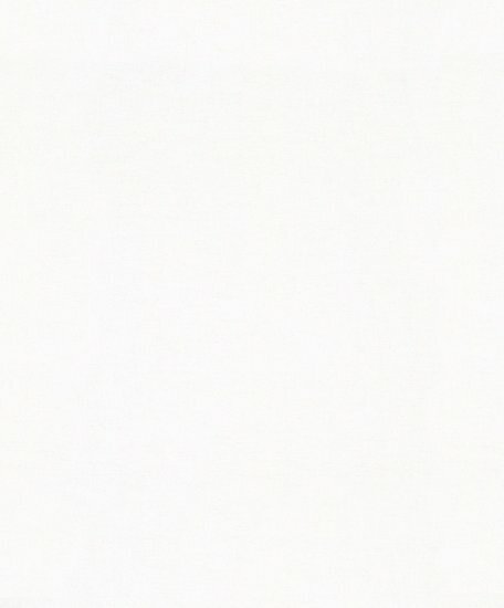 Noordwand Dune 32441 Wit Behang