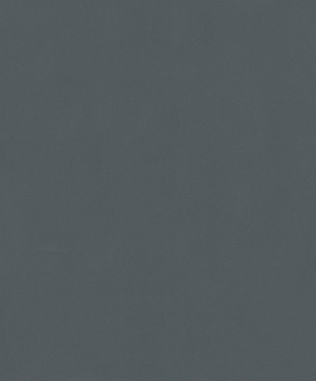 Noordwand Dune 42021 Zwart Behang