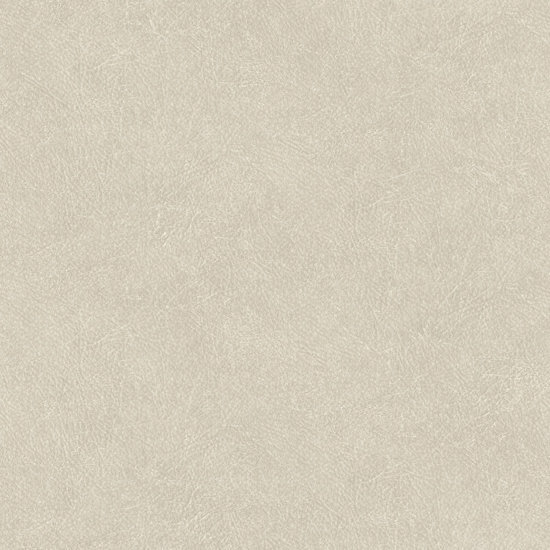 HookedOnWalls TAHITI LEATHER PLAIN TA25020 Behang