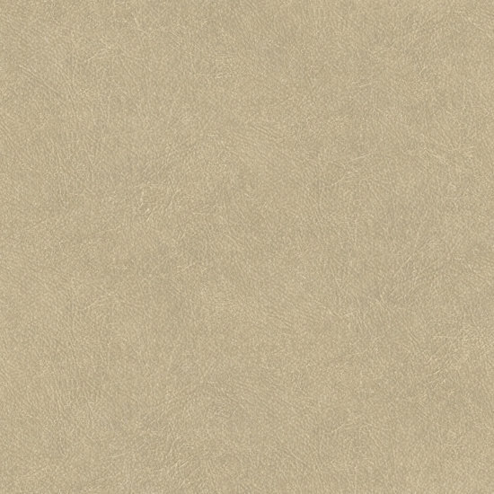 HookedOnWalls TAHITI LEATHER PLAIN TA25021 Behang