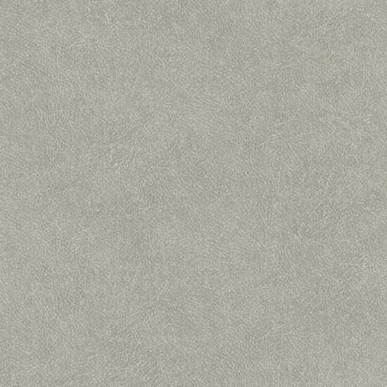 HookedOnWalls TAHITI LEATHER PLAIN TA25023 Behang