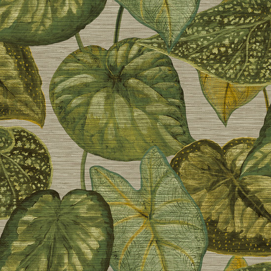 HookedOnWalls TAHITI TROPICAL LEAVES TA25052 Behang