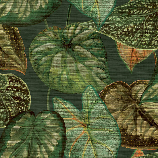 HookedOnWalls TAHITI TROPICAL LEAVES TA25054 Behang