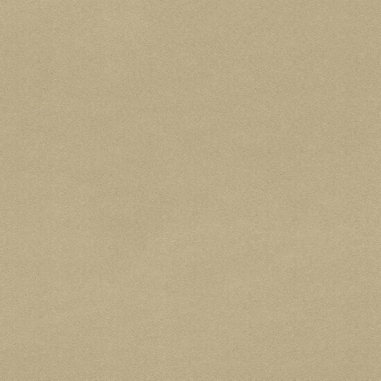 Rasch Salsa Collectie 806892 Behang