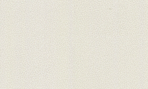 Dutch First Class Roberto Cavalli 8 19016 Behang