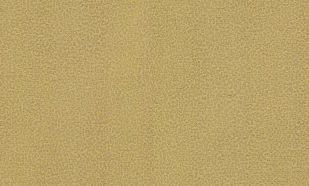 Dutch First Class Roberto Cavalli 8 19017 Behang