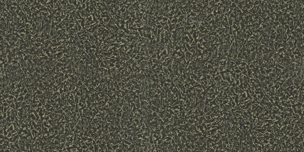 Dutch First Class Roberto Cavalli 8 19025 Behang