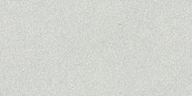 Dutch First Class Roberto Cavalli 8 19026 Behang