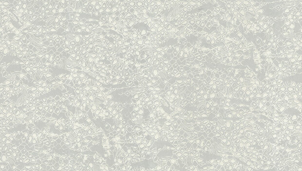 Dutch First Class Roberto Cavalli 8 19034 Behang