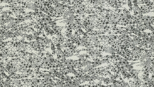 Dutch First Class Roberto Cavalli 8 19035 Behang