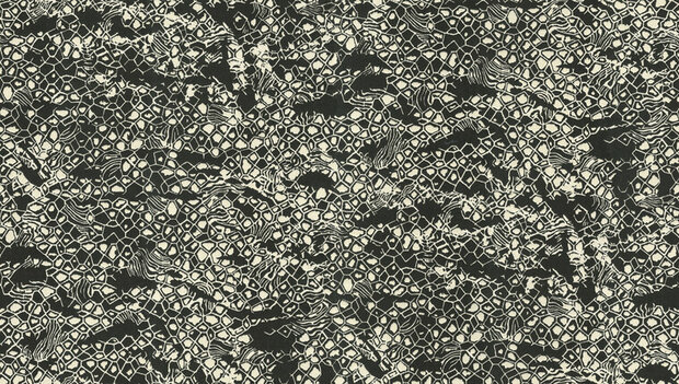 Dutch First Class Roberto Cavalli 8 19036 Behang