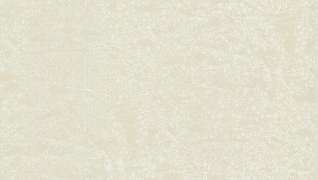 Dutch First Class Roberto Cavalli 8 19037 Behang