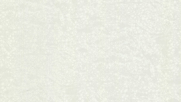 Dutch First Class Roberto Cavalli 8 19039 Behang