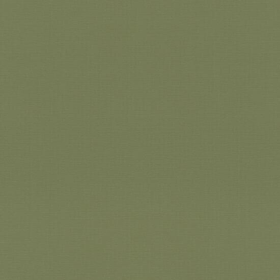 Rasch Rhapsody / Symphony / Country Charme / Allegretto 687538 Groen Behang