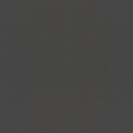 Rasch Rhapsody / Symphony / Allegretto 688023 Zwart Behang