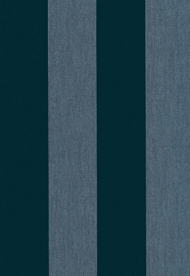 Arte Les Rayures STRIPE VELVET AND LINE 18115 Behang
