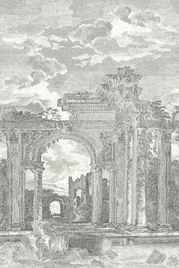 Arte Sculptura ROVINE - PANORAMIQUE 42560A Behang