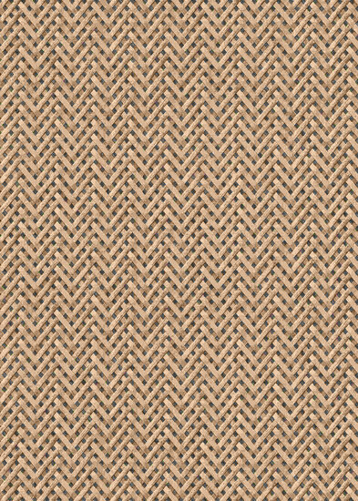 Dutch Wall Decor Erismann Code Nature 10209-02 Beige Behang