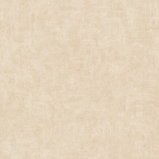 Dutch Wallcoverings One Roll One Motif A51511 Beige Behang