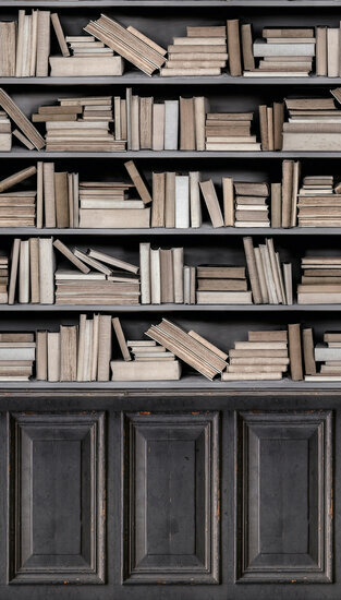 Dutch Wallcoverings One Roll One Motif A36801 Books Behang