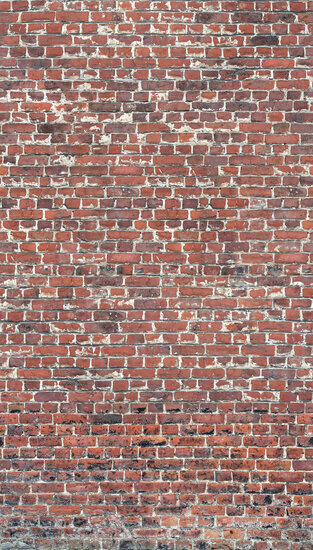 Dutch Wallcoverings One Roll One Motif A39201 Red Brick Behang