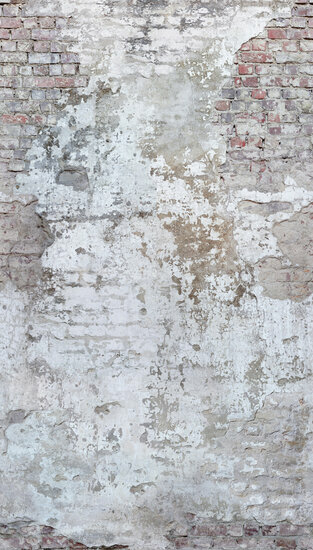 Dutch Wallcoverings One Roll One Motif A42301 Stressed Brick Behang