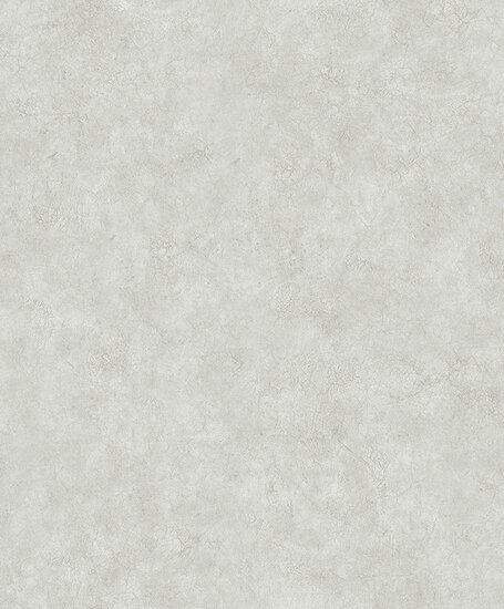 Dutch Wallcoverings Structures M550-07 beige Behang
