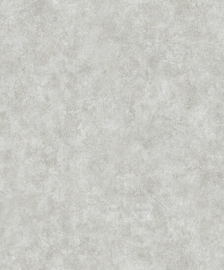 Dutch Wallcoverings Structures M550-19 grijs Behang