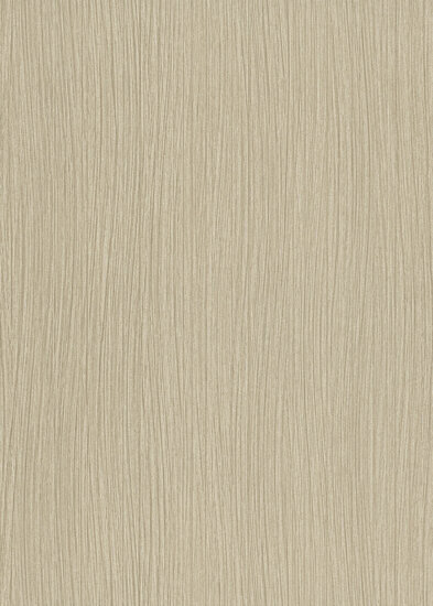 Dutch Wall Decor Fashion For Walls 3 - 10028-30 Goud Behang