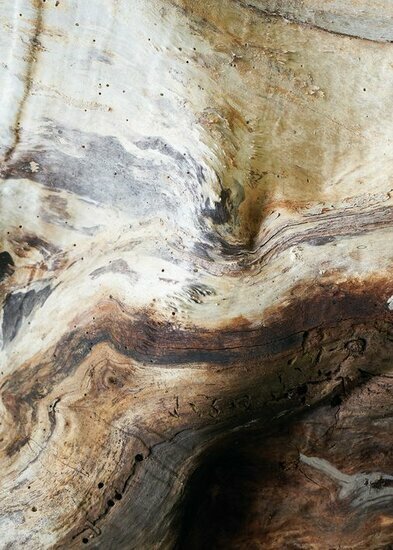 Casadeco Woods WOOD86151575 - Bruin / Beige Behang