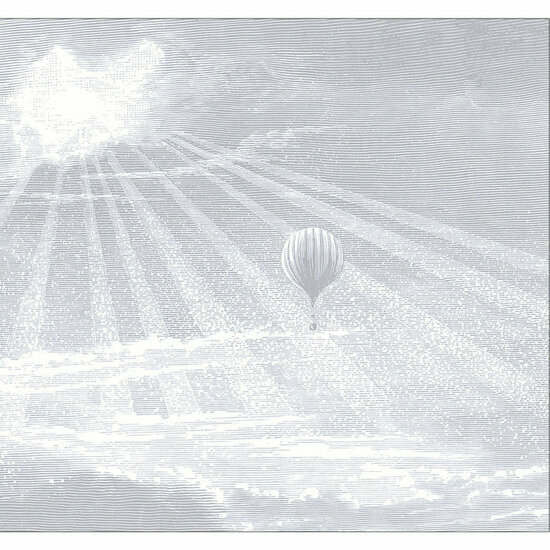 Casadeco Voyage Onirique ONIR87619208 - Grijs Behang