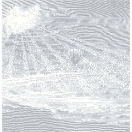 Casadeco Voyage Onirique ONIR87619209 - Grijs Behang