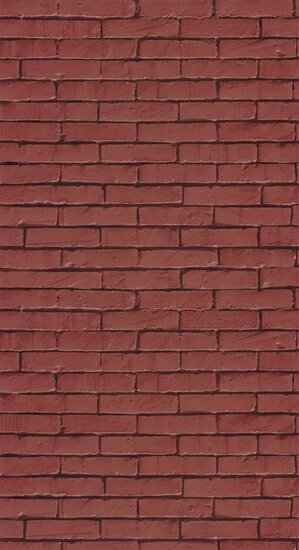 Caselio Young and Free YNF103298054 - Rood Behang