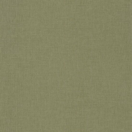 Caselio Essentiel ETL100607405 - Groen Behang