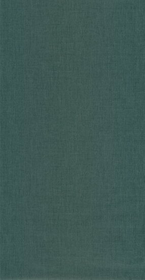 Caselio Essentiel ETL100607764 - Groen Behang