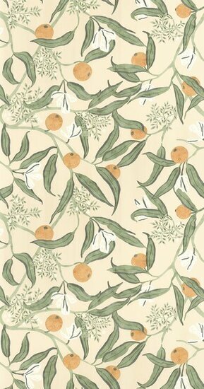 Caselio Danae DAE103611077 - Groen / Beige Behang