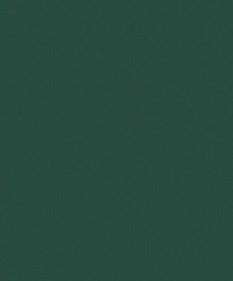 BN Wallcoverings Inspire 219227 - Groen Behang